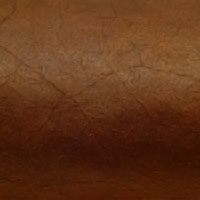 Criollo