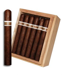 Aquitaine Anthropology